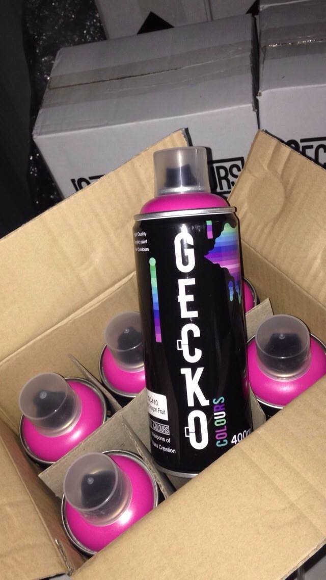 gecko cans box