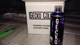 14207652_534748906735643_5675437853976582045_o